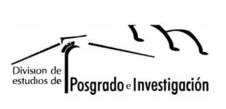 División de Estudios de Posgrado e Investigación